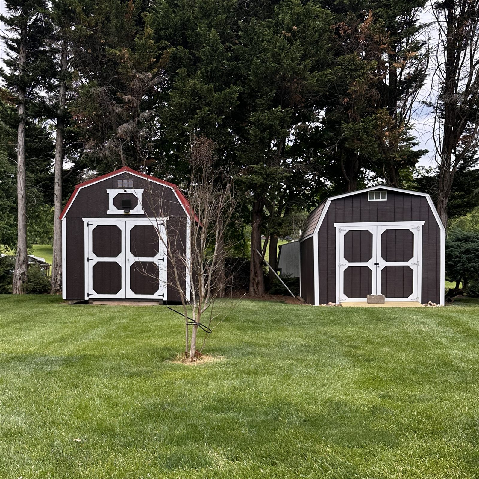 Shed build project